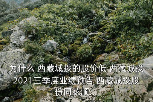 為什么 西藏城投的股價低 西藏城投2021三季度業(yè)績預告 西藏城投股份同花順...