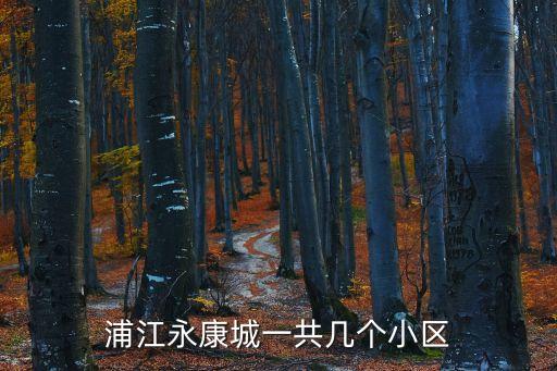 浦江永康城一共幾個(gè)小區(qū)