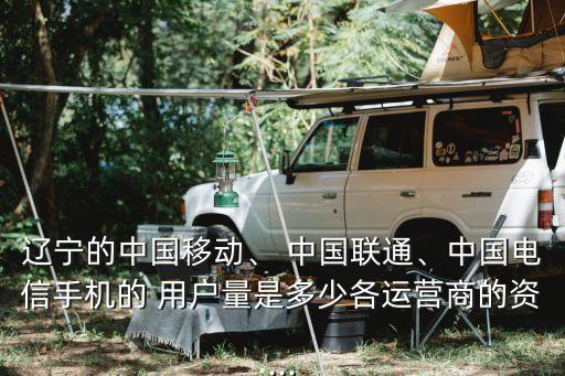 遼寧的中國移動(dòng)、 中國聯(lián)通、中國電信手機(jī)的 用戶量是多少各運(yùn)營商的資...