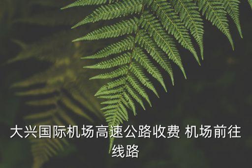 大興國(guó)際機(jī)場(chǎng)高速公路收費(fèi) 機(jī)場(chǎng)前往線(xiàn)路
