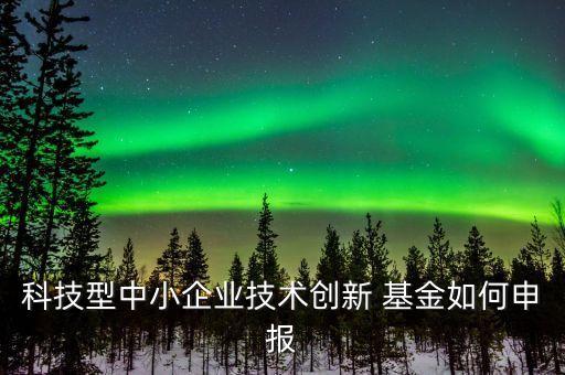 科技型中小企業(yè)技術創(chuàng)新 基金如何申報