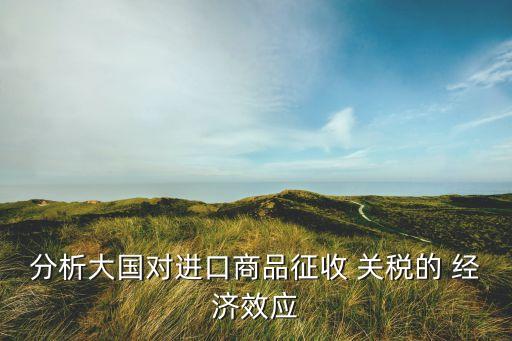 分析大國對進口商品征收 關(guān)稅的 經(jīng)濟效應