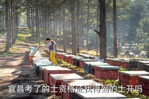  宜昌考了的士資格證找得到的士開(kāi)嗎