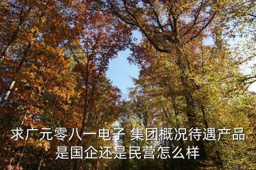 求廣元零八一電子 集團概況待遇產(chǎn)品是國企還是民營怎么樣