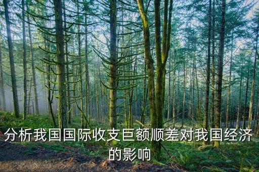 分析我國國際收支巨額順差對我國經(jīng)濟的影響