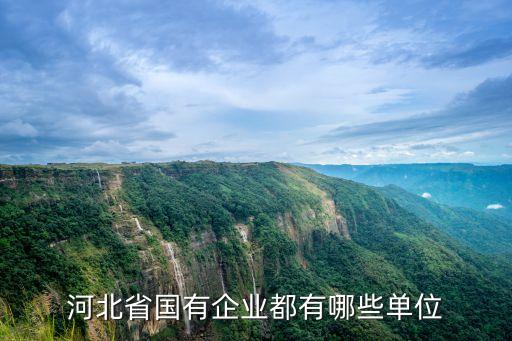 冀衡藥業(yè)深州分公司,深州冀衡藥業(yè)有限公司負責(zé)人電話