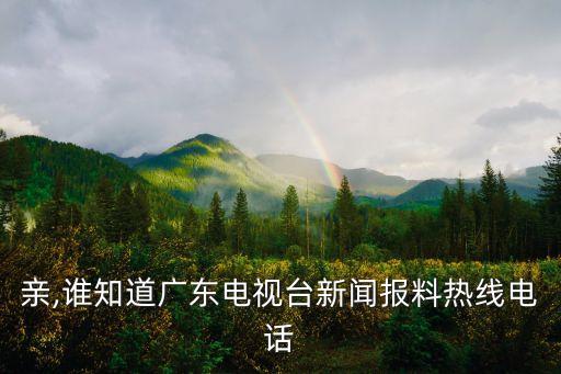 親,誰知道廣東電視臺(tái)新聞報(bào)料熱線電話