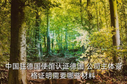 中國(guó)駐德國(guó)使館認(rèn)證德國(guó) 公司主體資格證明需要哪些材料