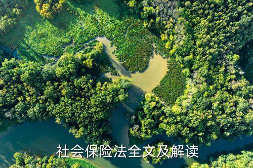 社會保險(xiǎn)基金監(jiān)管的理論依據(jù)及要點(diǎn)