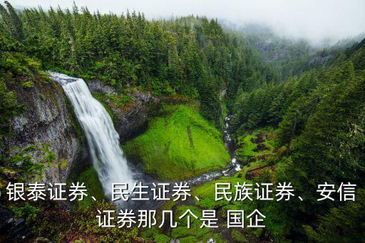 銀泰證券、民生證券、民族證券、安信證券那幾個(gè)是 國(guó)企
