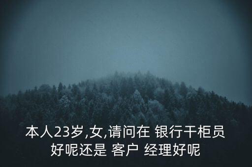 本人23歲,女,請(qǐng)問(wèn)在 銀行干柜員好呢還是 客戶(hù) 經(jīng)理好呢