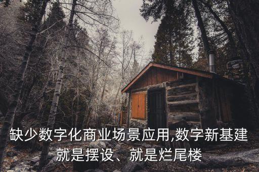 缺少數(shù)字化商業(yè)場景應用,數(shù)字新基建就是擺設、就是爛尾樓