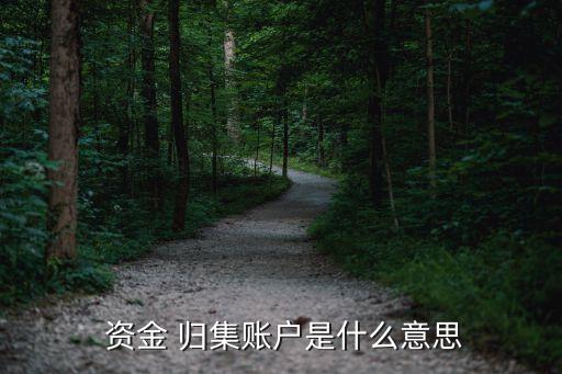  資金 歸集賬戶(hù)是什么意思