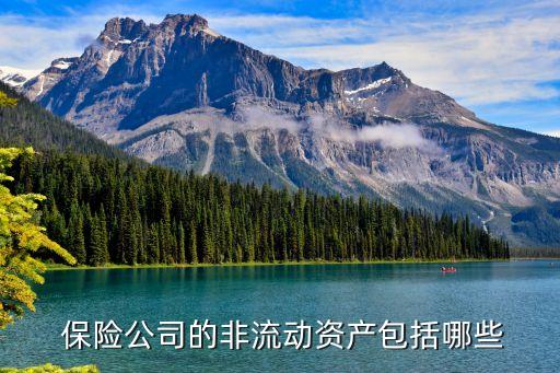  保險(xiǎn)公司的非流動資產(chǎn)包括哪些