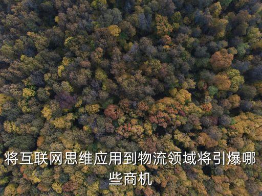 將互聯(lián)網(wǎng)思維應用到物流領域?qū)⒁男┥虣C