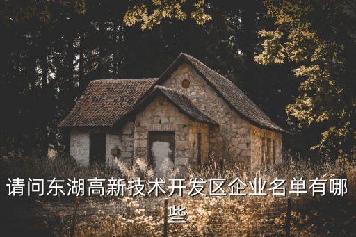 請(qǐng)問東湖高新技術(shù)開發(fā)區(qū)企業(yè)名單有哪些