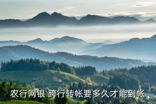 農行網銀 跨行轉帳要多久才能到帳