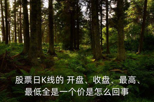  股票日K線的 開盤、收盤、最高、最低全是一個(gè)價(jià)是怎么回事