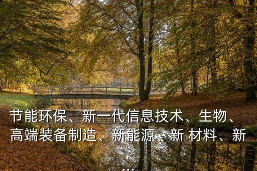 節(jié)能環(huán)保、新一代信息技術(shù)、生物、 高端裝備制造、新能源、新 材料、新...