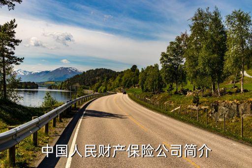 中國人民財產保險公司簡介