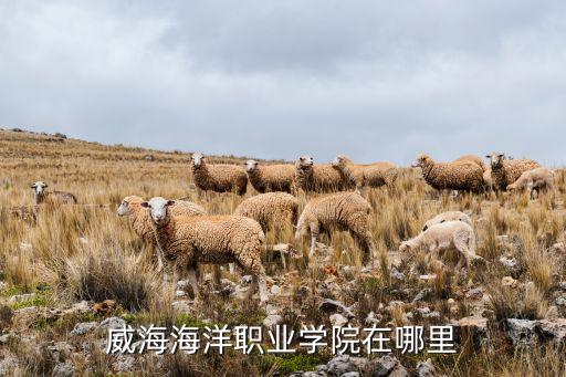 北京遠(yuǎn)洋漁業(yè),遠(yuǎn)洋漁業(yè)服務(wù)平臺