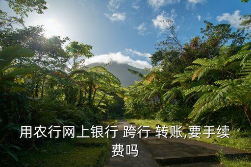 用農行網上銀行 跨行 轉賬,要手續(xù)費嗎