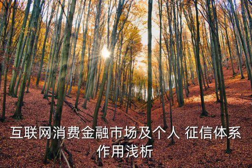 互聯(lián)網(wǎng)消費(fèi)金融市場及個人 征信體系作用淺析