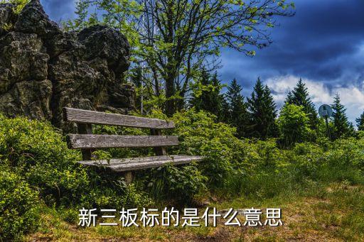 新三板標的是什么意思