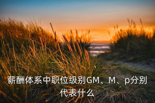 薪酬體系中職位級(jí)別GM、M、p分別代表什么