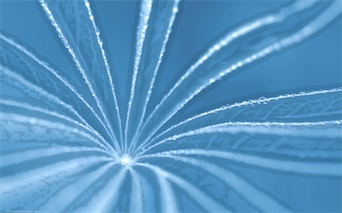 微信零錢為什么會(huì)自己變多,微信錢包零錢過多怎么辦